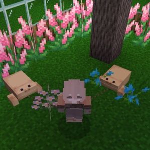 Meet your Posher, Sapey